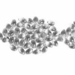 Fish oil
