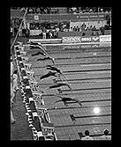 collegiate swimming championships