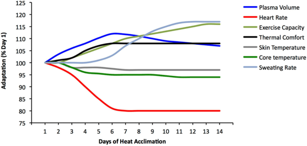 Figure 2: Heat Adaptation Curves